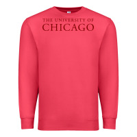 Cardinal College of Chicago Premium Sweatshirt - artisFamous