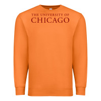Carrot College of Chicago Premium Sweatshirt - artisFamous