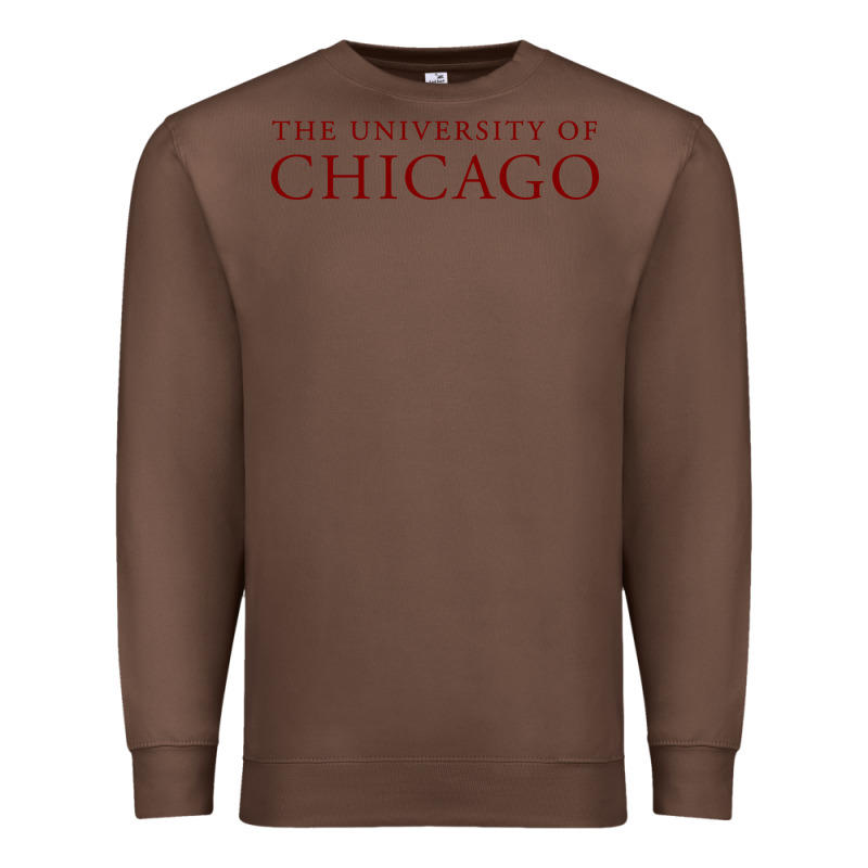 College Of Chicago Premium Sweatshirt by artisFamous | Teevron