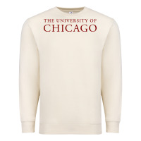 Sandshell College of Chicago Premium Sweatshirt - artisFamous