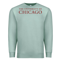 Seafoam College of Chicago Premium Sweatshirt - artisFamous