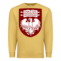 Antique Gold College of Chicago Premium Sweatshirt - artisFamous