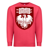 College Of Chicago Premium Sweatshirt | Teevron