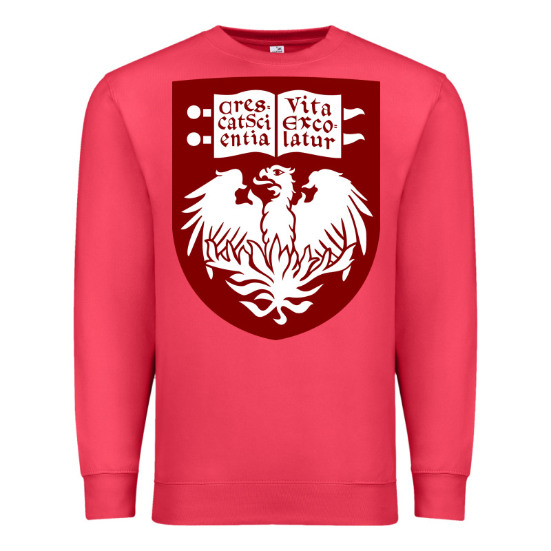 College Of Chicago Premium Sweatshirt by artisFamous | Teevron