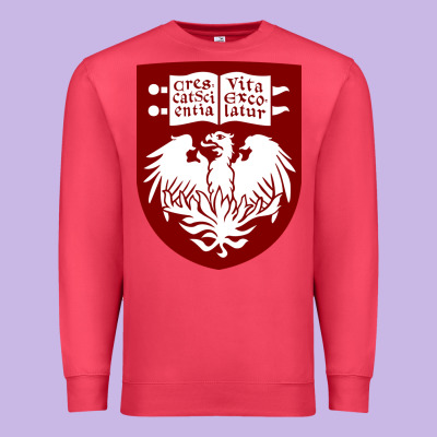 College Of Chicago Premium Sweatshirt Designed By Artisfamous