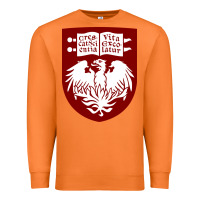 Carrot College of Chicago Premium Sweatshirt - artisFamous