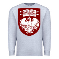 Heather Grey College of Chicago Premium Sweatshirt - artisFamous