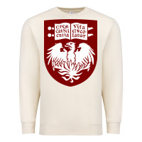 Sandshell College of Chicago Premium Sweatshirt - artisFamous