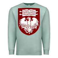 Seafoam College of Chicago Premium Sweatshirt - artisFamous
