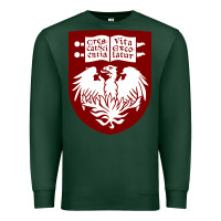 Sports Green College of Chicago Premium Sweatshirt - artisFamous