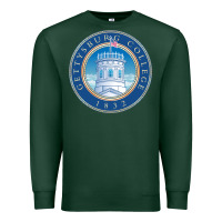 Sports Green gettysburg college Premium Sweatshirt - artisFamous