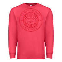 Cardinal northeastern university Premium Sweatshirt - artisFamous