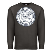 Smoke university of illinois Premium Sweatshirt - artisFamous