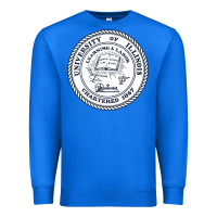 University Of Illinois Premium Sweatshirt | Teevron
