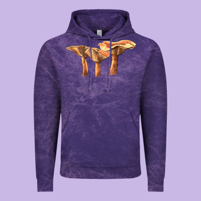 Lactarius Rufus Mushroom Illustrations Vintage Hoodie Designed By Lillyallendesigns