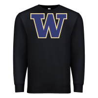 Black washington Premium Sweatshirt - artisFamous