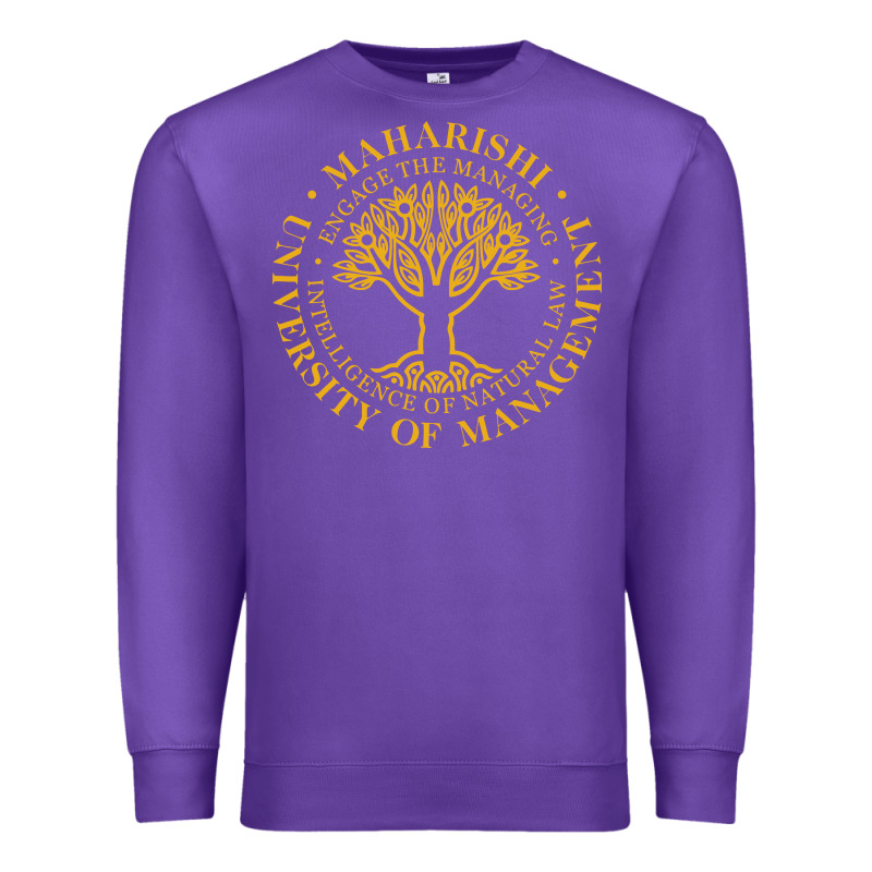 Maharishi International College Premium Sweatshirt by artisFamous | Teevron