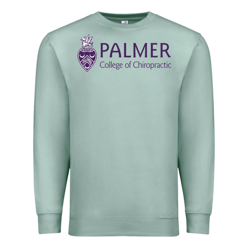 Palmer College Of Chiropractic Premium Sweatshirt by artisFamous | Teevron