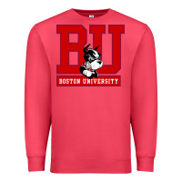 Cardinal boston university terriers Premium Sweatshirt - artisFamous