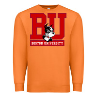 Carrot boston university terriers Premium Sweatshirt - artisFamous