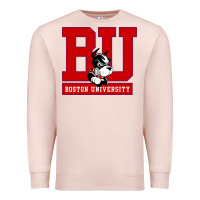 Pale Pink boston university terriers Premium Sweatshirt - artisFamous