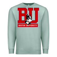 Seafoam boston university terriers Premium Sweatshirt - artisFamous