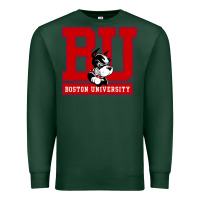 Sports Green boston university terriers Premium Sweatshirt - artisFamous