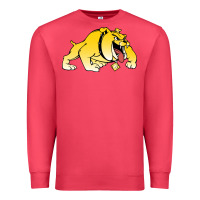 Cardinal bowie state bulldogs Premium Sweatshirt - artisFamous