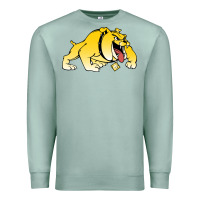 Seafoam bowie state bulldogs Premium Sweatshirt - artisFamous