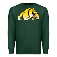 Sports Green bowie state bulldogs Premium Sweatshirt - artisFamous