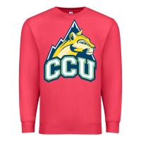 Cardinal colorado christian Premium Sweatshirt - artisFamous