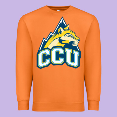 Colorado Christian Premium Sweatshirt Designed By Artisfamous