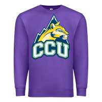 Purple colorado christian Premium Sweatshirt - artisFamous