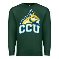 Sports Green colorado christian Premium Sweatshirt - artisFamous