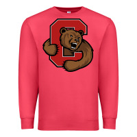 Cardinal cornell big red Premium Sweatshirt - artisFamous