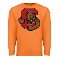 Carrot cornell big red Premium Sweatshirt - artisFamous