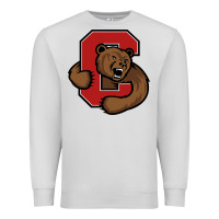 Dove Grey cornell big red Premium Sweatshirt - artisFamous