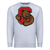 Heather Grey cornell big red Premium Sweatshirt - artisFamous