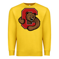 Lemon cornell big red Premium Sweatshirt - artisFamous