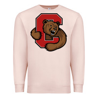 Pale Pink cornell big red Premium Sweatshirt - artisFamous