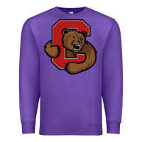 Purple cornell big red Premium Sweatshirt - artisFamous