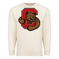 Sandshell cornell big red Premium Sweatshirt - artisFamous