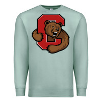 Seafoam cornell big red Premium Sweatshirt - artisFamous