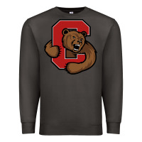 Smoke cornell big red Premium Sweatshirt - artisFamous