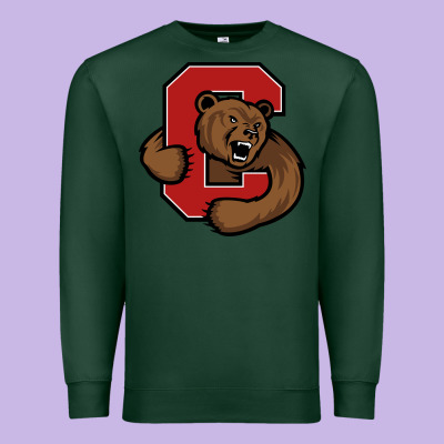 Cornell Big Red Premium Sweatshirt Designed By Artisfamous