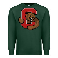 Sports Green cornell big red Premium Sweatshirt - artisFamous
