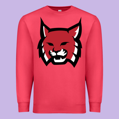 Rhodes College Athletic Premium Sweatshirt Designed By Artisfamous