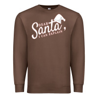 Chestnut Dear Santa I Can Explain Premium Sweatshirt - artisFamous