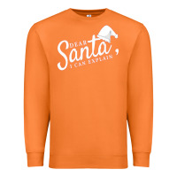 Carrot Dear Santa I Can Explain Premium Sweatshirt - artisFamous