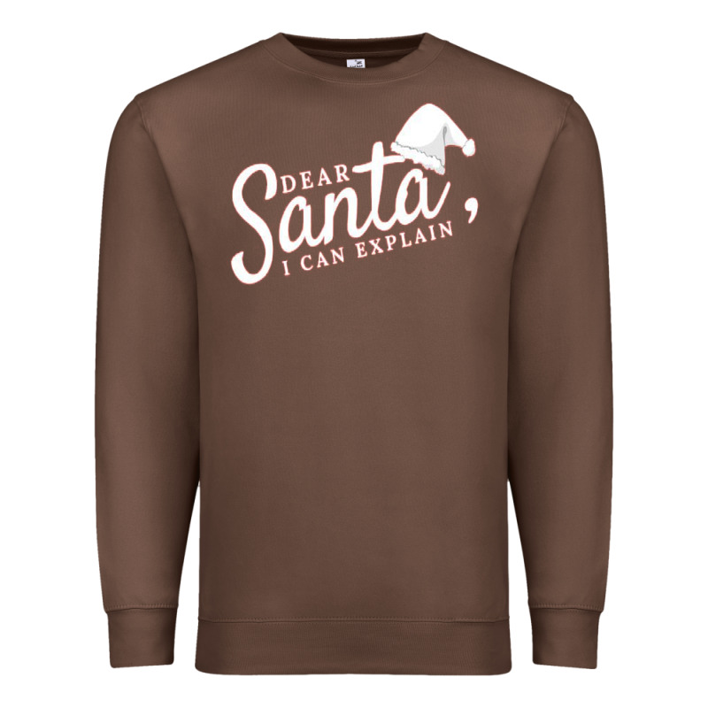 Dear Santa I Can Explain Premium Sweatshirt by artisFamous | Teevron
